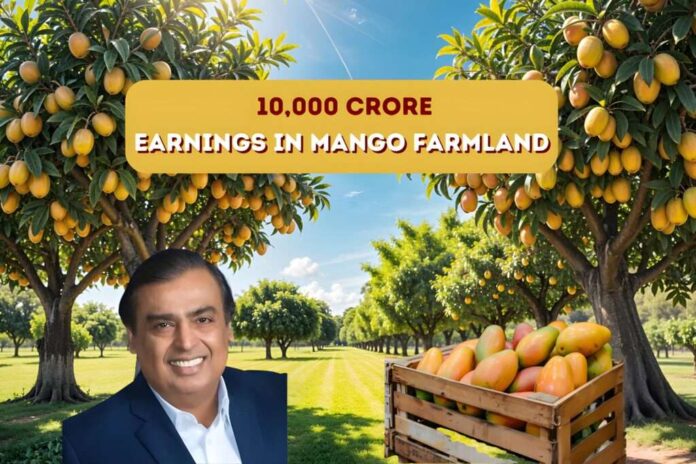 Mukesh Ambani transformed 600 acres of barren lands in Jamnagar to became world’s largest exporter of Mangoes