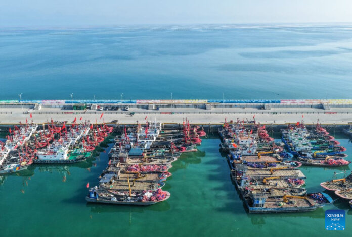 Asia container freight faces delays due to typhoon, tight capacity