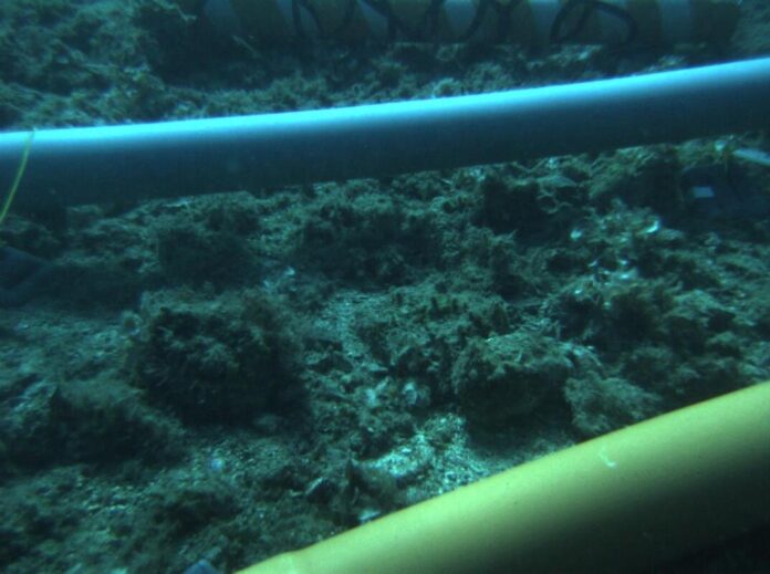 Design choices ‘make or break’ subsea pipeline integrity, finds LR study for Havtil