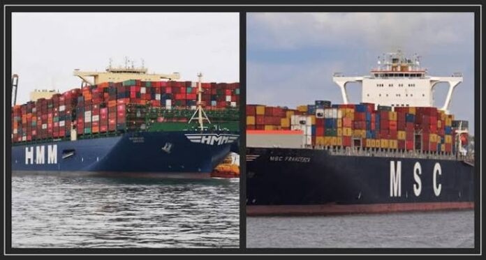 MSC and HMM send boxship orderbook to new peak
