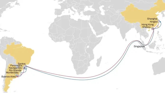 MSC and ONE Take Over Vessel Sharing Agreement for Ipanema Service as Hapag-Lloyd quit