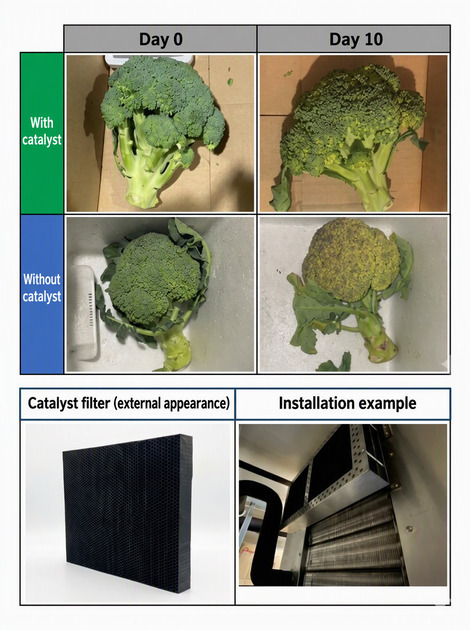 ‘Freshness Keeping Catalyst ClassNK 1 ClassNK grants Innovation Endorsement for Products & Solutions to 'Freshness Keeping Catalyst' developed by Nikki-Universal